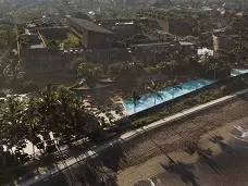 پتیتو هد بالی